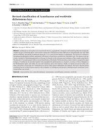 Image result for Justicia fittonioides