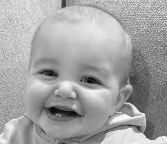 Volunteers lay wreaths for veterans in Wreaths Across America ceremony