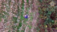 Court tv 17 barrier tape can be seen sealing off the area of this rural field where the remains were allegedly dumped by cristhian bahena rivera credit: Mollie Tibbetts Body Believed Found Cnn Video