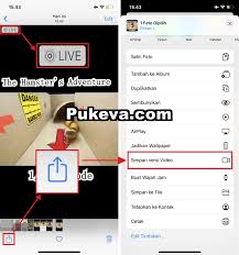 Ingin menonton secara offline tanpa data internet? Cara Menyimpan Video Tiktok Tanpa Watermark Di Iphone Pukeva