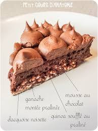 Fondant A La Pralinoise Sans Gluten Bien Fait Pour Ta Pomme Dacquoise Noisette Entremet Chocolat Ganache Praline