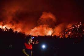 En 2003 se perdieron casi 8,5 millones de hectáreas, distribuidas así: Criticas A Erdogan Por Incendios Forestales En Turquia