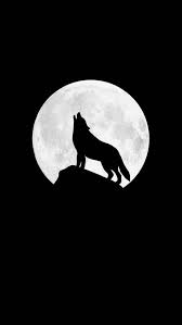 You can use wolf eyes dark iphone wallpaper for your iphone 5, 6, 7, 8, x, xs, xr backgrounds, mobile screensaver, or ipad lock screen and another smartphones device for free. Howling Wolf Iphone Wallpaper Black Wallpaper Iphone Dark Iphone Wallpaper Wolf Wolf Wallpaper