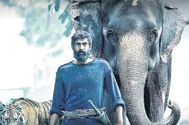 In prabhu solomon directed haathi mere saathi, which will also release in tamil and telugu; Eydp U9mi9t1xm