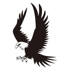 Kumpulan sketsa gambar burung elang hantu merpati merak untuk menghasilkan lukisan yang utuh kita perlu sebuah sketsa sebagai langkah awal. 80 Gambar Kartun Elang Terbang Hd Gambar Pixabay