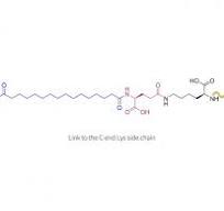 Semaglutide Side Chain,liraglutide Side Chain,Anti Diabetic ...