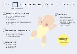 Die U3 Untersuchung Wann Geht Es Das Erste Mal Zum Kinderarzt
