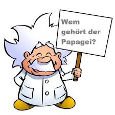 einsteinratsel begabtenzentrum ratsel steine padagogik