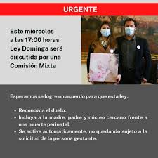 Para aquellas personas que nos leen y no saben, la ley dominga es un proyecto de ley que busca establecer un protocolo especial respecto de cómo se maneja el acompañamiento clínico de las madres y los padres que se hubieran tenido que enfrentar a una muerte gestacional o perinatal. R97phtl56li4am