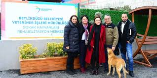 Girne Belediyesi Beylikduzu Hayvan Barinaginda Incelemelerde Bulundu