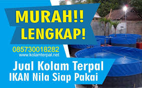1 Jual Kolam Terpal Ikan Nila Siap Pakai