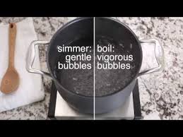Turn the heat down so the liquid just stops boiling. Difference Between Simmer And Boil Youtube