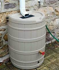 Rain Water Catcher Rain Barrel Water Flowers Backyard