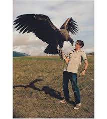 Welcomeback Animals Birds Of Prey Animals Beautiful