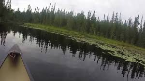 Snipe Lake In The Bwca