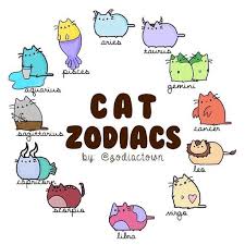 Which One Are You I Absolutely Adore All Things Pusheen And I M Also An Avid Astrology Guru Since I Was A Child Tonight T Pusheen Cute Pusheen Cat Zodiac