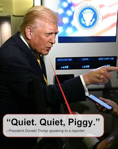 There's a video going viral of Trump calling a reporter “piggy” for asking a question about the release of the Epstein files on Friday. One person who took this message to heart