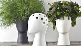 Vous allez adorer ces pots de fleurs qui se transforment en ...