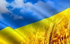 Перший президент україни михайло грушевський затвердив таке поєднання кольорів як офіційний прапор країни. Z Dnem Derzhavnogo Prapora Ukrayini Volin Online