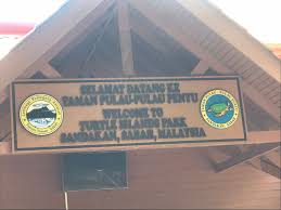 Sebuah dana amanah yang akan. Green Turtle Laying Eggs Picture Of Turtle Island Park Sandakan Tripadvisor