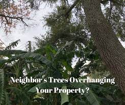 Maybe you would like to learn more about one of these? Neighbor S Trees Overhanging My Property Attorneys Wharton Richmond