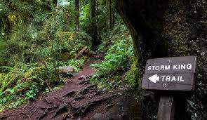 The waterfall is part of a. Marymere Falls Nature Trail Hiking Trail Port Angeles Washington