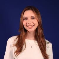 40+ perfiles de «Novillo»