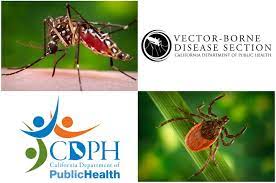 We have 6663 free department of health vector logos, logo templates and icons. Ca Public Health On Twitter Disease Cases From Mosquito Tick And Flea Bites Have Increased Across The Usa Visit Cdph S Vector Borne Disease Webpage To Learn More About These Diseases In California And