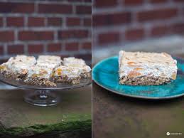 Reiben sie die schale einer zitronenhälfte vorsichtig an einer zestenreibe und fangen sie dabei den zitronenabrieb in einer schale auf. Aprikosennussschnitten Mit Schmand Einfaches Blechkuchenrezept