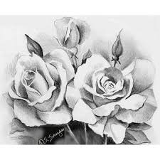 Pin By Claire Ehmke On Art Flower Sketches Rose Sketch Roses Drawing