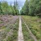 Midlife Hikers walk at Whisperdales event image