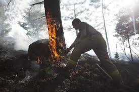 This Week in Pictures March 5-11