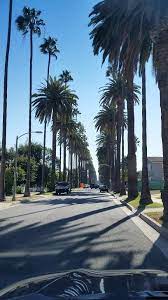 South Palm Dr Beverly Hills Ca Los Angeles Wallpaper California Wallpaper Travel Aesthetic