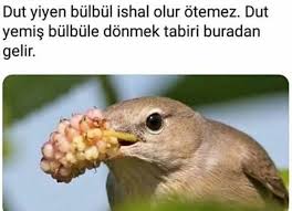 Aleyna Dogan Adli Kullanicinin Ilginc Bilgiler Panosundaki Pin 2020 Bilgi Karti Bilgi Faydali Ipuclari