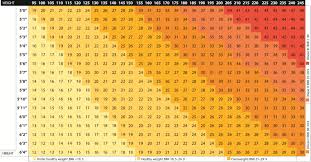 55 Bmi Chart Female Easybusinessfinance Net