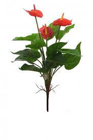 Polyurethane Artificial Anthurium Plant With Pvc Coated Leaves 46 Cm Red Artificial Plants Plants Anthurium Plant