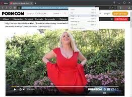 Web Gallery Downloader - How to download videos from Porn.com