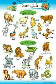 Pin By Siham On Arapca Learning Arabic Arabic Kids Arabic Language