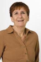 Michelle Visser-de Wit, Gemeenteraad Hendrik-Ido-Ambacht