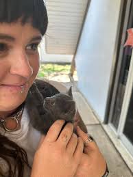 Who can take in a found kitten in Hamilton?