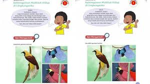 Kunci Jawaban Tema 3 Kelas 4 Halaman 48 49 50 51 52 Tema Keberagaman Makhluk Hidup Di Lingkunganku Tribun Pontianak