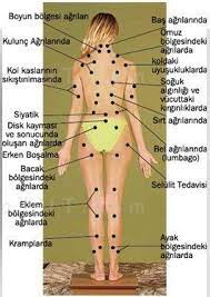 hacamat noktalari cupping therapy schropfen geleneksel cin tibbi saglik tibbi