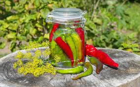 Proprietà dei peperoncini piccanti, veri elisir di salute. Peperoncini Verdi Sott Olio Conserva Alternativa E Facile