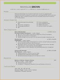 resume writing service chicago com; 10