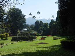 Royal botanical gardens peradeniya, so heißt er ganz genau. Botanischer Garten In Kandy
