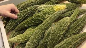 Image result for Momordica pterocarpa