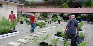 Majlis perasmian program mega penanaman pokok 2019 upm. Pelancaran Laman Dapur Masjid Upm Taman Pertanian Universiti