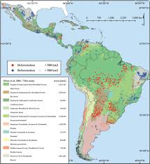 The words 'latin america' are used to describe the group of 21 countries (listed below) in the american continent where latin languages are spoken. Chart Forest Loss In Latin America