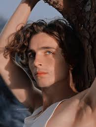 Congratulations to timothée chalamet on his oscar nomination for call me by your name. Timothee Photoshoot Tumblr Posts Tumbral Com