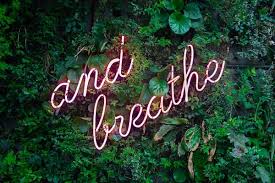 70 Inspiring Inner Peace Quotes To Calm And Relax You